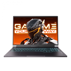 Machenike Light 16S (L16S) Серый (16", Ryzen 7 7745HX, 16Гб, SSD 1Тб, RTX 5070, Windows 11)